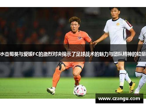 水壶蜀葵与爱媛FC的激烈对决揭示了足球战术的魅力与团队精神的较量